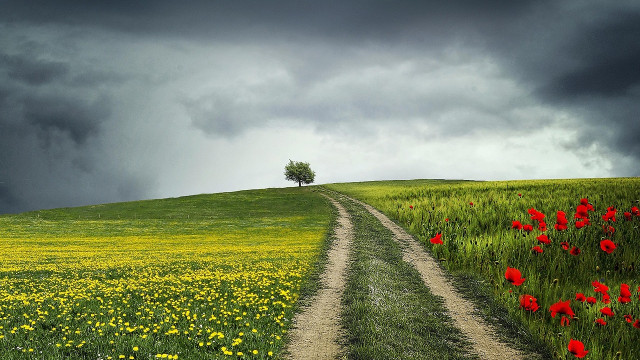 Lawine: pas op voor een uitbraak van meer dan $ 82 van dit bullish patroon