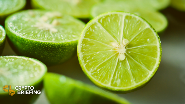 LimeWire werkt samen met Algorand om zijn NFT-marktplaats van stroom te voorzien