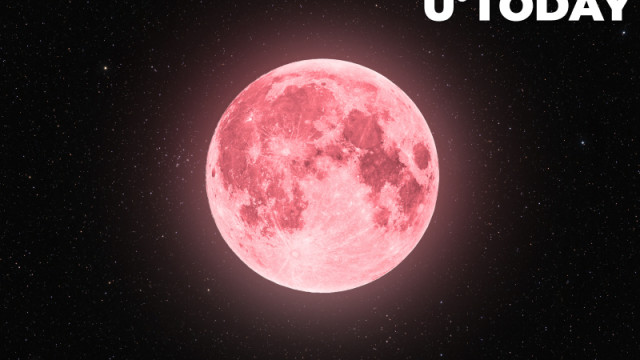 Luna Millionaire verwacht dat token $ 500 zal bereiken