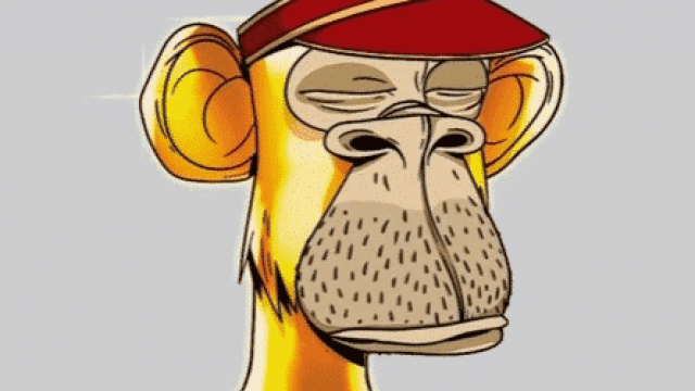 Man die een aap kocht voor 4 ETH, heeft een bod van $ 1,2 miljoen afgewezen