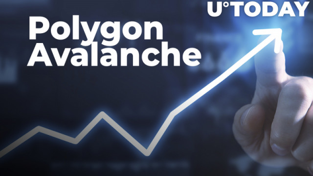 MATIC en AVAX leiden 10% Altcoin Recovery Rally