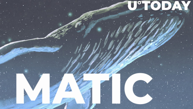 MATIC Grote transacties stijgen met 105% als walvissen terugkeren: details