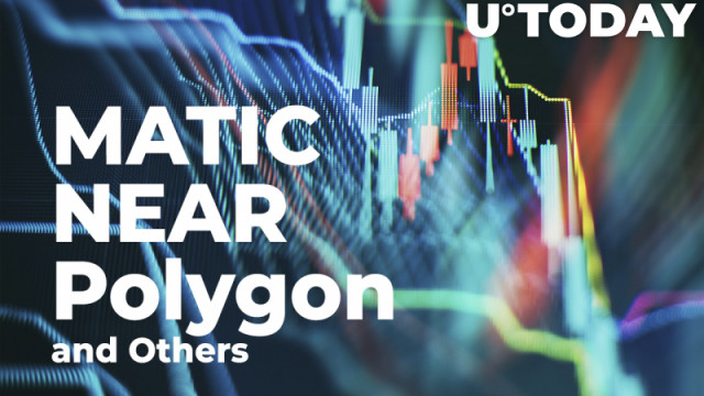 MATIC, NEAR, Alliance en andere onderzoekskeuzes van Alameda vertoonden explosieve groei in 2021