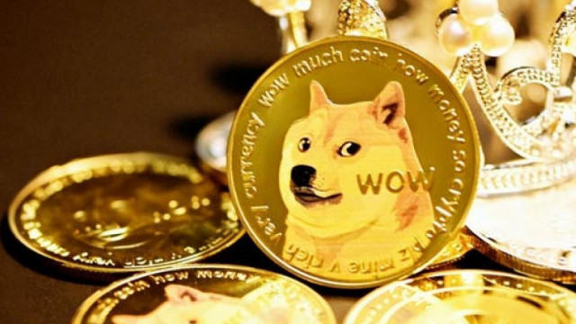 Nieuwe enquête vindt Dogecoin onder de beste crypto-investeringen voor zowel mannen als vrouwen