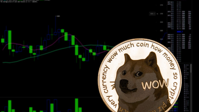 Oekraïne accepteert Dogecoin voor donaties, hoe heeft dit de waarde van de token beïnvloed?