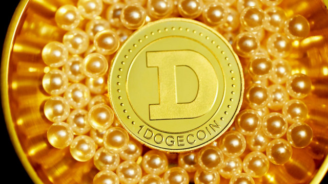 Ongeveer 99% van de cryptovaluta zal de bodem vinden, maar niet de leidende, beweert de oprichter van DOGE