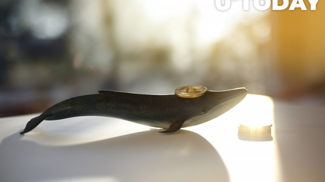 Oude Bitcoin-portemonnee met 407 BTC komt tot leven