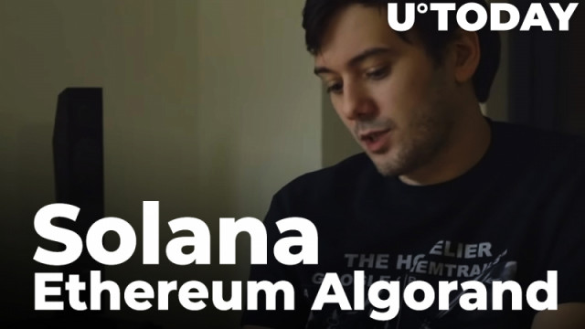 "Pharma Bro" Martin Shkreli is optimistisch over Solana, Ethereum en Algorand