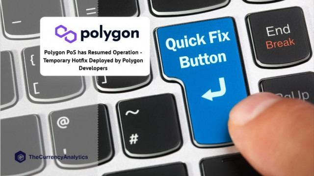 Polygon PoS is hervat - Tijdelijke hotfix geïmplementeerd door Polygon-ontwikkelaars