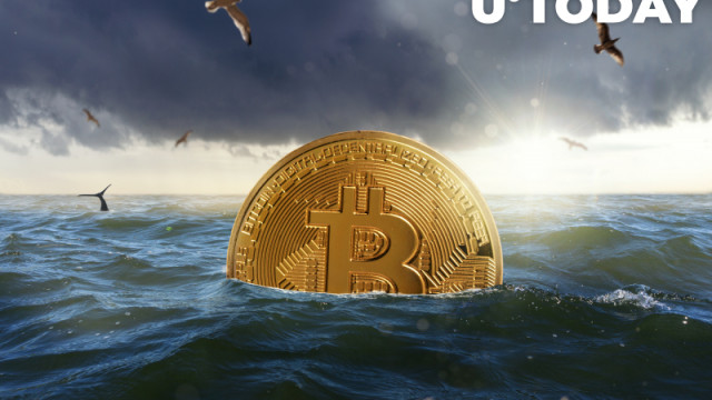 Satoshi-tijdperk Bitcoin-portemonnee wordt plotseling geactiveerd na 11 jaar