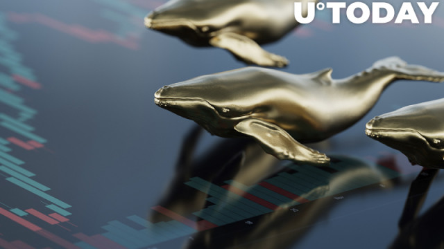 SHIB, MATIC, SAND, FTT behoren tot de top 100 van ETH-walvissen: rapport