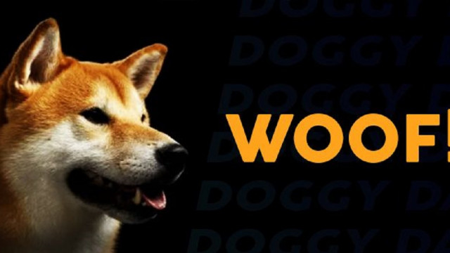 SHIB-prijsanalyse: Shiba Inu vormt een omgekeerd wimpelpatroon; Nog een dip van 35% in grafieken