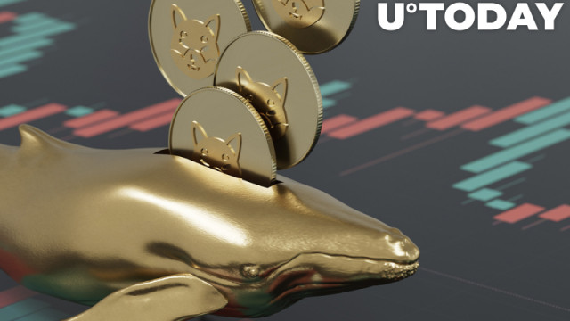 SHIB wordt grootste holding van ETH-walvissen terwijl ze Shiba Inu blijven kopen en FTT omdraaien