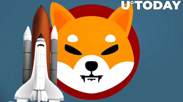 Shiba Inu-adressen stijgen met 100% terwijl de SHIB-prijs omhoog schiet