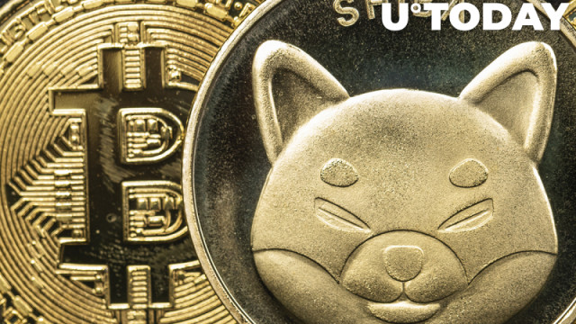 Shiba Inu, Bitcoin nu geaccepteerd als betaling door Minnesota-Based Jewelry Shop via BitPay