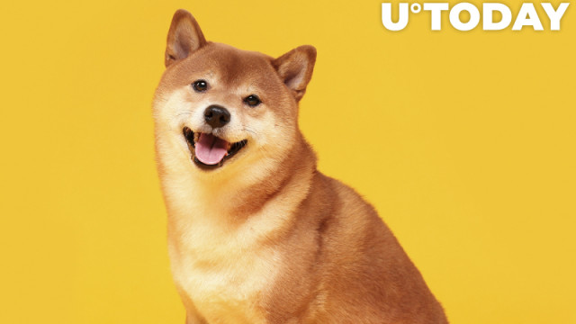 Shiba Inu brengt extra projecten uit die SHIB zullen verbranden: details