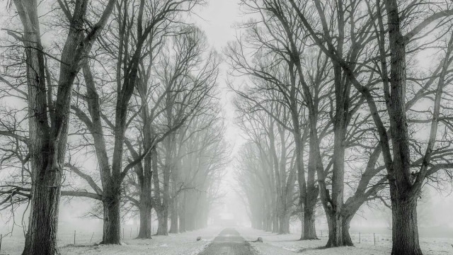 Shiba Inu daalde bijna 40% in twee weken, maar dit is wat het volgende kan zijn: