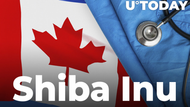 Shiba Inu-donaties nu geaccepteerd door Canadian Healthcare Foundation
