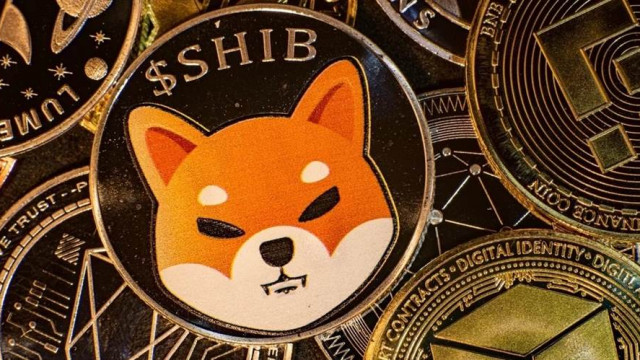 Shiba Inu en Dogecoin verliezen momentum