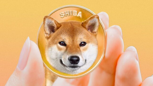 Shiba Inu gaat naar $ 0, dood van SHIB in 2030! Zegt het onderzoeksrapport van de Finder