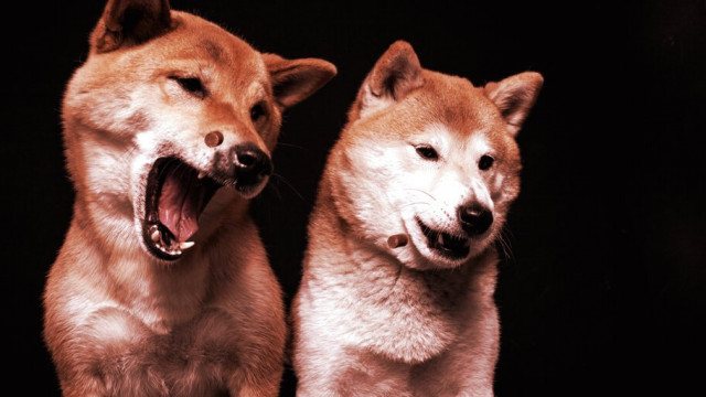 Shiba Inu herstelt sneller dan Dogecoin na cryptocrash