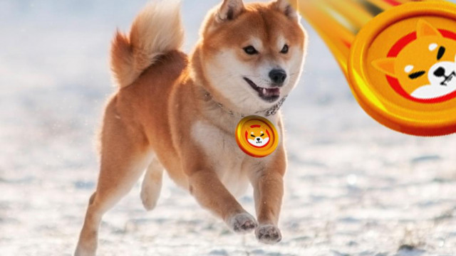 Shiba Inu-ontwikkelaars beginnen met testen van Burn Portal, kondigen verdedigingsteam aan om crypto te beschermen