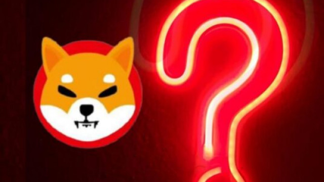 Shiba Inu-oprichter verdwijnt van sociale media - verdwenen 'zonder kennisgeving'