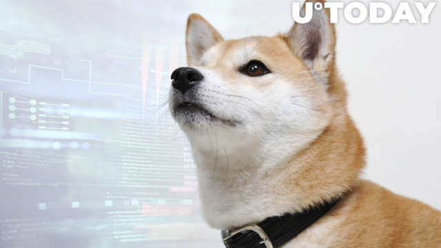 Shiba Inu-prijsanalyse: na een wekelijkse daling van 7% neemt het momentum van SHIB af