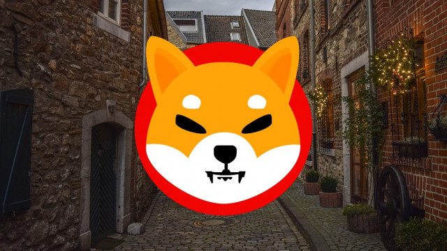 Shiba Inu-prijsanalyse: SHIB herstelt op $ 0.00003131 na een steile duik