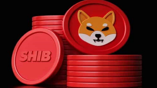 Shiba Inu (SHIB) prijsdalingen met 20%, laagste in 7 maanden