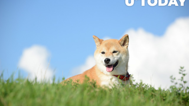 Shiba Inu staat op het punt Terra's LUNA te overtreffen na dubbelcijferige prijspiek