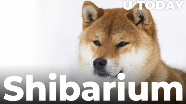 Shiba Inu Stablecoin SHI nadert voltooiing, SHIB introduceert Shibarium Financial Ecosystem