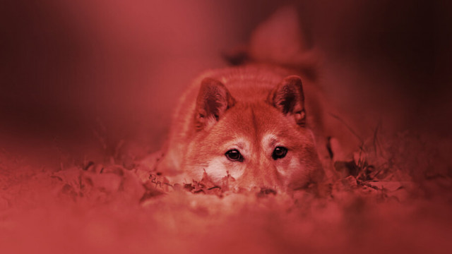 Shiba Inu-token bereikt dieptepunt in zeven maanden terwijl cryptomarkt verslechtert