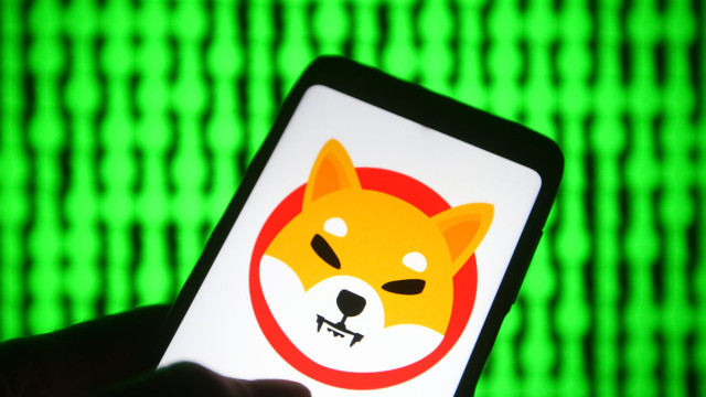 Shiba Inu vs. Dogecoin en LUNA: welke zal het crypto-bloedbad overleven?