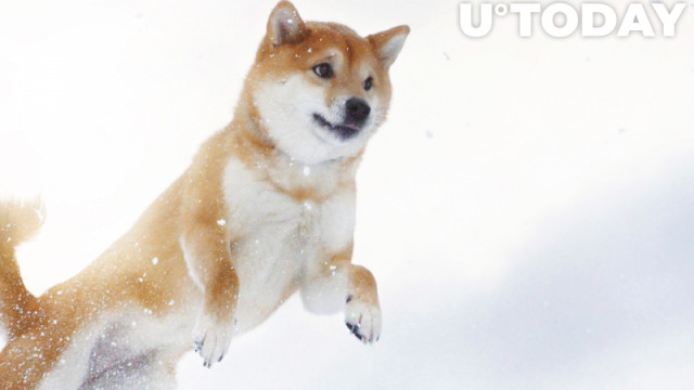 Shiba Inu-walvissen beheersen 26% van de totale voorraad token: zo kan het bullish zijn