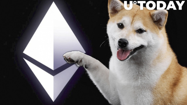 Shiba Inu wordt opnieuw grootste bezit van walvisadressen, voor het eerst sinds januari