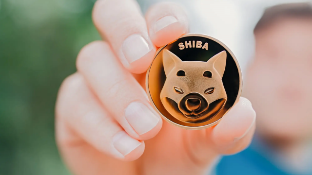 SHIBA INU zag een stijging van 1,4% in tokenhouders in een maand