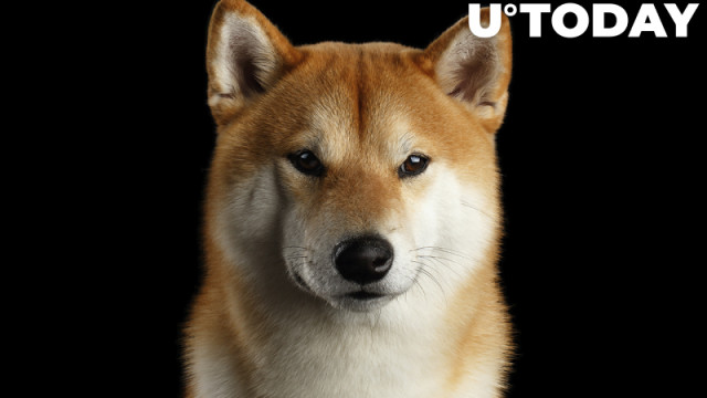 Shiba Inu zou tegen 2050 $ 5 kunnen bereiken, volgens deze crypto-analist