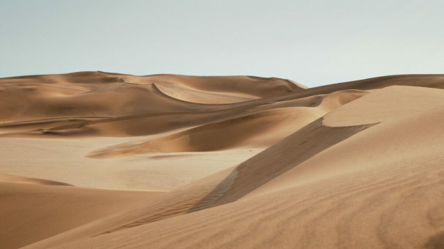 Stieren, beren en hun voortdurende vechtpartijen over een land vol ZAND