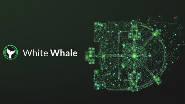 Terra-gebaseerd arbitrageplatform White Whale lanceert UST Vault
