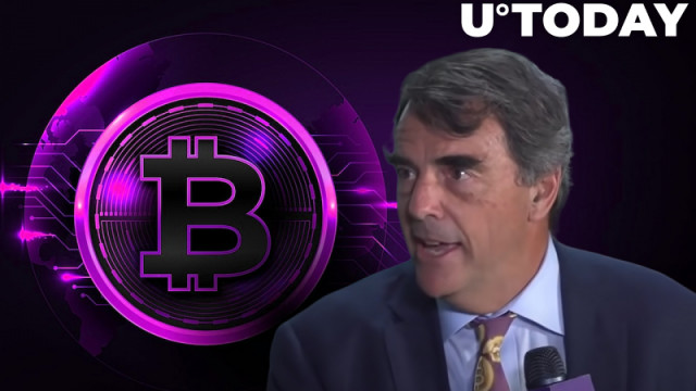 Tim Draper gelooft nog steeds dat Bitcoin $ 250.000 kan bereiken