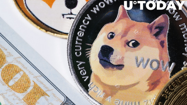 Top Dogecoin Dev Ross Nicoll zegt dat hij afstand neemt van Dogecoin, hier is waarom