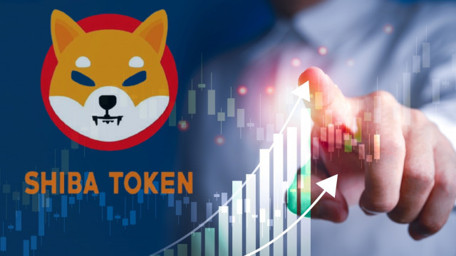 Waarom kan de prijs van Shiba Inu de komende weken omhoogschieten?