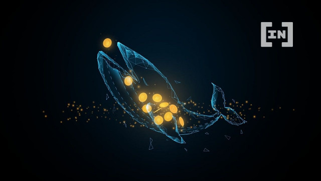 Walvis Ahoi! Bitcoin-portemonnee geactiveerd na 11 jaar