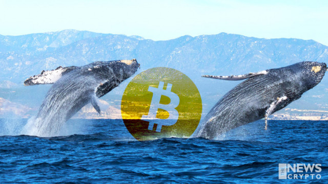 Whale Alert: Binance heeft 1000 BTC ontvangen van een anonieme portemonnee