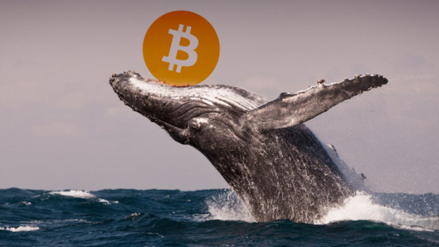 Whale BTC verschuift 800 Bitcoins van Binance naar Gemini