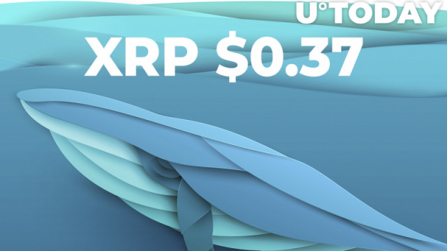 XRP daalt tot $ 0,37 terwijl walvissen 440,3 miljoen tokens verplaatsen