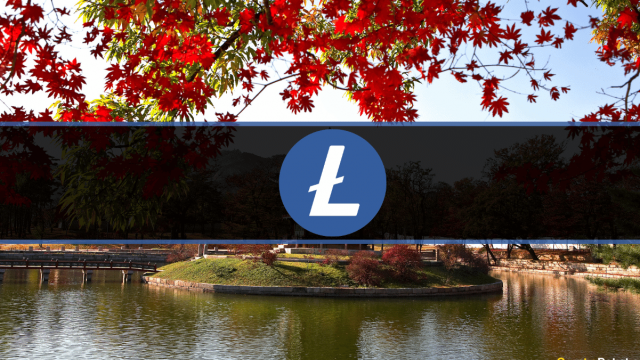 Zuid-Koreaanse crypto-uitwisselingen geven investeringswaarschuwingen uit na de MWEB-update van Litecoin